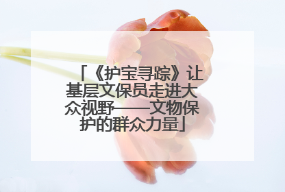 《护宝寻踪》让基层文保员走进大众视野——文物保护的群众力量