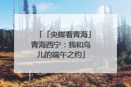 「央媒看青海」青海西宁：我和鸟儿的端午之约