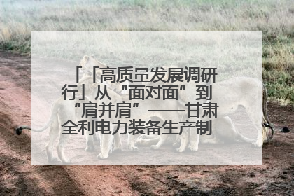 「高质量发展调研行」从“面对面”到“肩并肩”——甘肃全利电力装备生产制造项目一线见闻