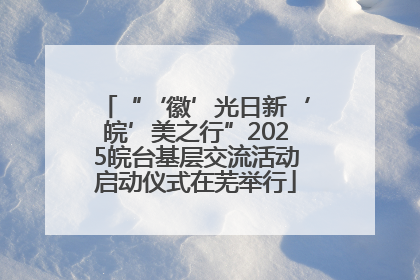 “‘徽’光日新‘皖’美之行”2025皖台基层交流活动启动仪式在芜举行