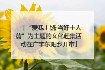 “爱我上饶·当好主人翁”为主题的文化赶集活动在广丰东阳乡开市