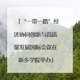 “一带一路”经济协同创新与高质量发展国际会议在新乡学院举办