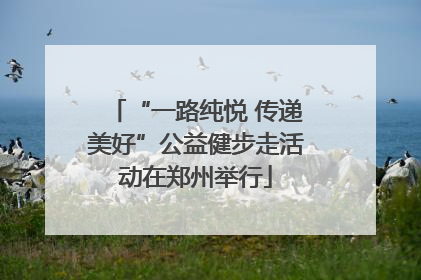 “一路纯悦 传递美好”公益健步走活动在郑州举行