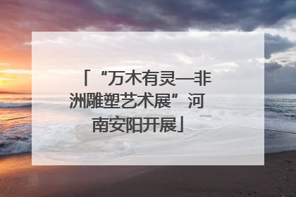 “万木有灵—非洲雕塑艺术展”河南安阳开展