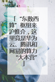 “东数西算”枢纽来沪推介，这里竟是华为云、腾讯和网易的算力“大本营”