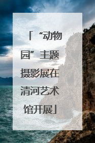 “动物园”主题摄影展在清河艺术馆开展