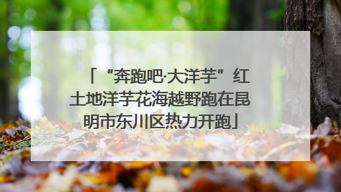 “奔跑吧·大洋芋”红土地洋芋花海越野跑在昆明市东川区热力开跑