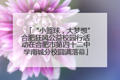 “小篮球，大梦想”合肥狂风公益校园行活动在合肥市第四十二中学南城分校圆满落幕