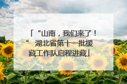 “山南，我们来了！” 湖北省第十一批援藏工作队启程进藏