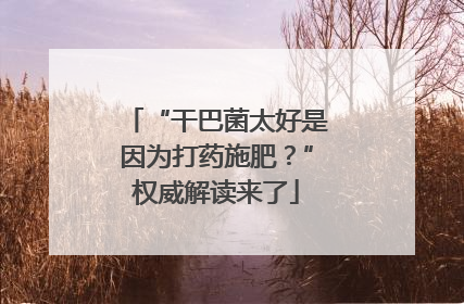 “干巴菌太好是因为打药施肥？”权威解读来了