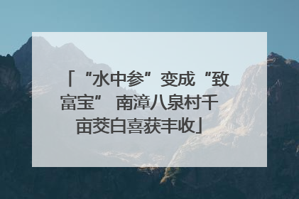 “水中参”变成“致富宝” 南漳八泉村千亩茭白喜获丰收