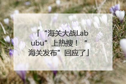 “海关大战Labubu”上热搜！“海关发布”回应了