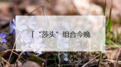 “莎头”组合今晚争世乒赛三连冠
