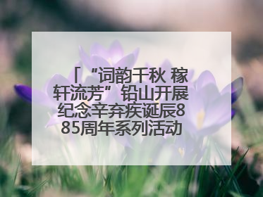 “词韵千秋 稼轩流芳”铅山开展纪念辛弃疾诞辰885周年系列活动（图）