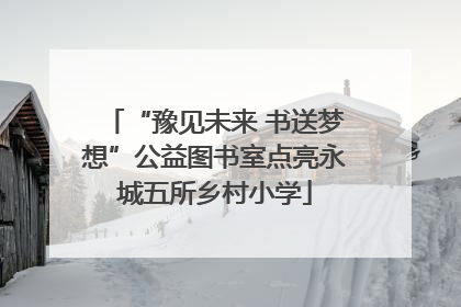 “豫见未来 书送梦想”公益图书室点亮永城五所乡村小学