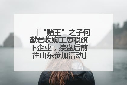 “赌王”之子何猷君收购王思聪旗下企业，接盘后前往山东参加活动