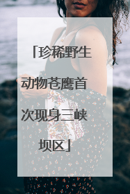 珍稀野生动物苍鹰首次现身三峡坝区