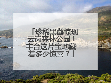 珍稀黑鹳惊现云岗森林公园！丰台这片宝地藏着多少惊喜？
