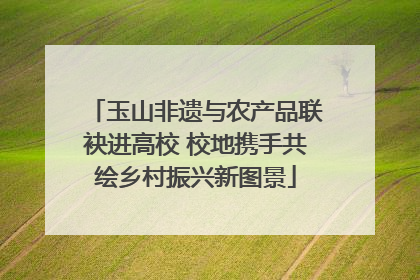 玉山非遗与农产品联袂进高校 校地携手共绘乡村振兴新图景