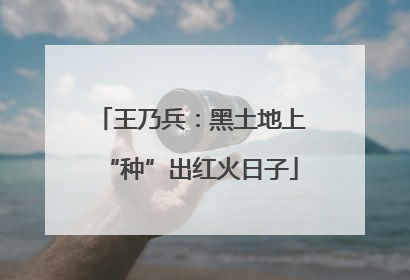 王乃兵：黑土地上“种”出红火日子