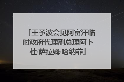 王予波会见阿富汗临时政府代理副总理阿卜杜·萨拉姆·哈纳菲