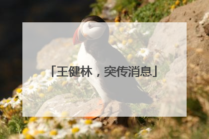 王健林，突传消息
