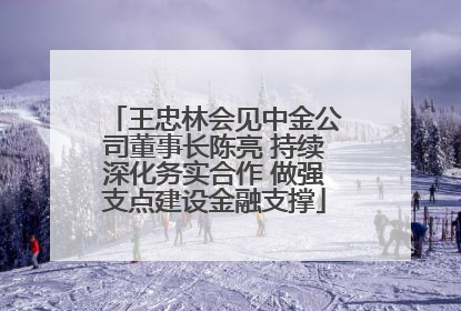 王忠林会见中金公司董事长陈亮 持续深化务实合作 做强支点建设金融支撑