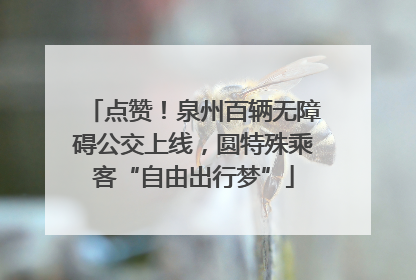 点赞！泉州百辆无障碍公交上线，圆特殊乘客“自由出行梦”