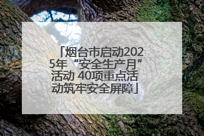 烟台市启动2025年“安全生产月”活动 40项重点活动筑牢安全屏障