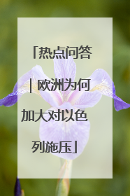热点问答｜欧洲为何加大对以色列施压