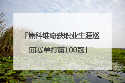 焦科维奇获职业生涯巡回赛单打第100冠