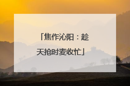 焦作沁阳：趁天抢时麦收忙