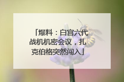爆料：白宫六代战机机密会议，扎克伯格突然闯入