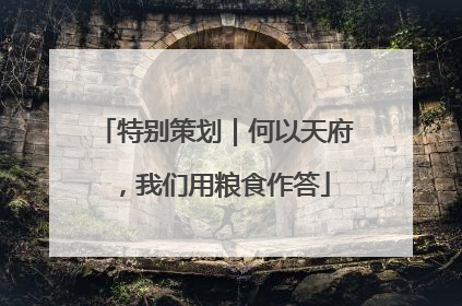 特别策划｜何以天府，我们用粮食作答