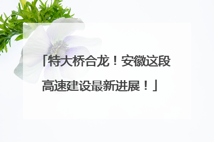 特大桥合龙！安徽这段高速建设最新进展！