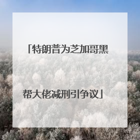 特朗普为芝加哥黑帮大佬减刑引争议