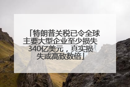 特朗普关税已令全球主要大型企业至少损失340亿美元，真实损失或高致数倍