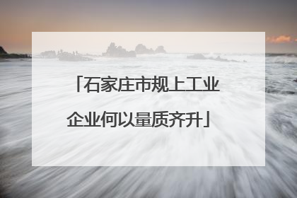 石家庄市规上工业企业何以量质齐升