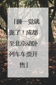 睡一觉就拢了！成都至北京动卧列车车票开售