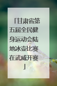 甘肃省第五届全民健身运动会陆地冰壶比赛在武威开赛