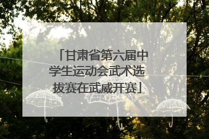 甘肃省第六届中学生运动会武术选拔赛在武威开赛