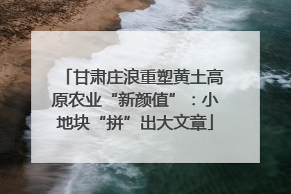 甘肃庄浪重塑黄土高原农业“新颜值”：小地块“拼”出大文章