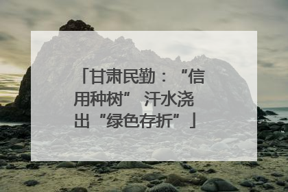 甘肃民勤：“信用种树” 汗水浇出“绿色存折”