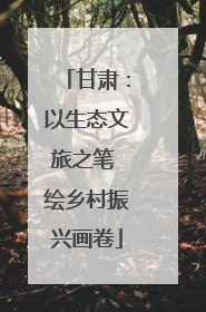 甘肃：以生态文旅之笔 绘乡村振兴画卷