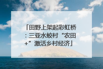 田野上架起彩虹桥：三亚水蛟村“农田+”激活乡村经济