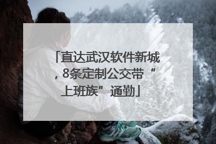 直达武汉软件新城，8条定制公交带“上班族”通勤