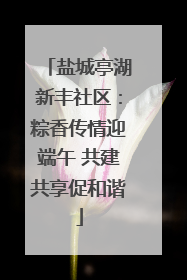 盐城亭湖新丰社区：粽香传情迎端午 共建共享促和谐