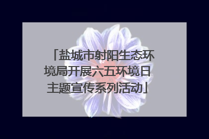 盐城市射阳生态环境局开展六五环境日主题宣传系列活动