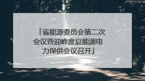 省能源委员会第二次会议暨迎峰度夏能源电力保供会议召开