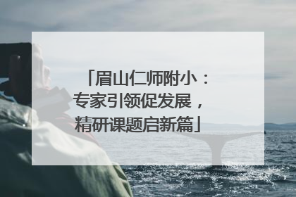 眉山仁师附小：专家引领促发展，精研课题启新篇